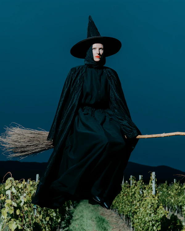 Witch Flying at Night
