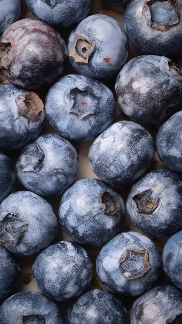 Fresh Blueberries Close-Up