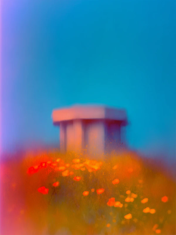 Dreamy Floral Scene