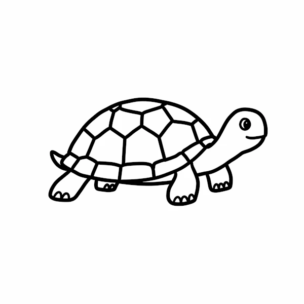 Minimal Turtle Drawing