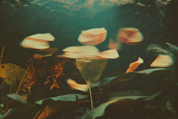 Ethereal Underwater Scene