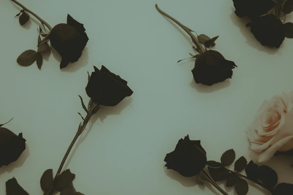 Minimalist Rose Arrangement