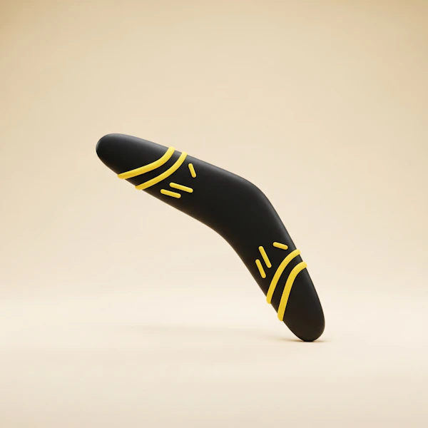 Modern Black Boomerang