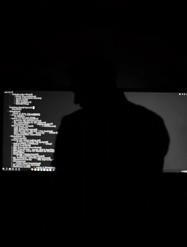 Coding Silhouette