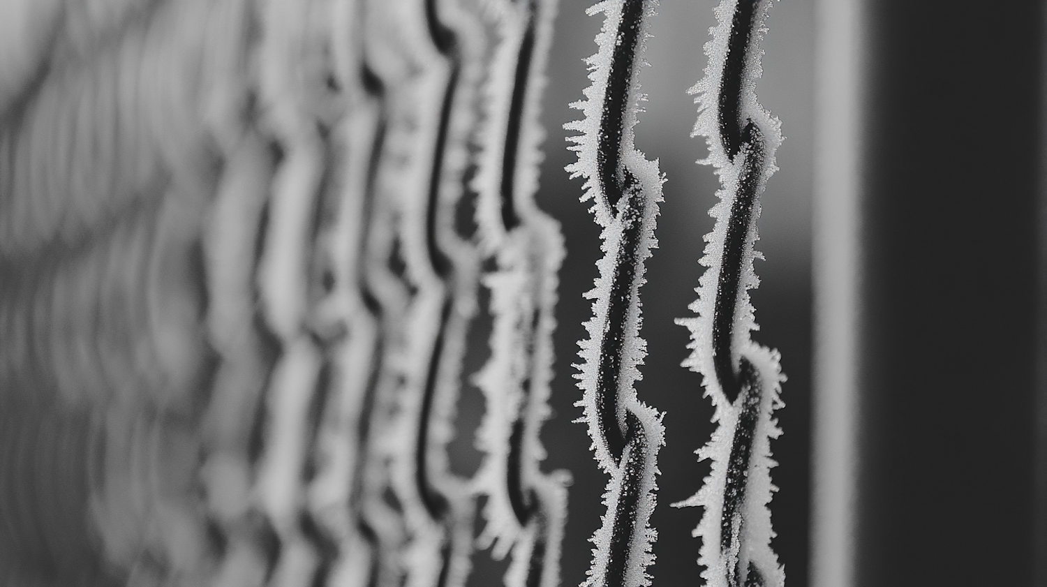 Frosty Chain-Link Fence