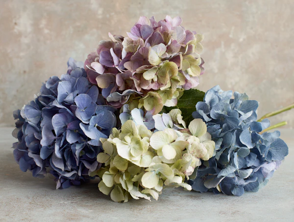 Pastel Hydrangea Bouquet