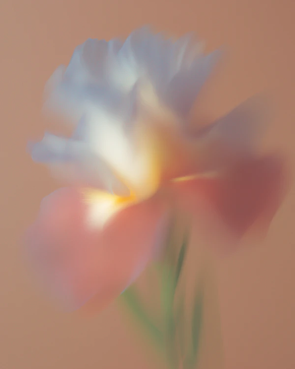 Ethereal Flower Glow