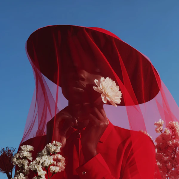 Red Veil Portrait