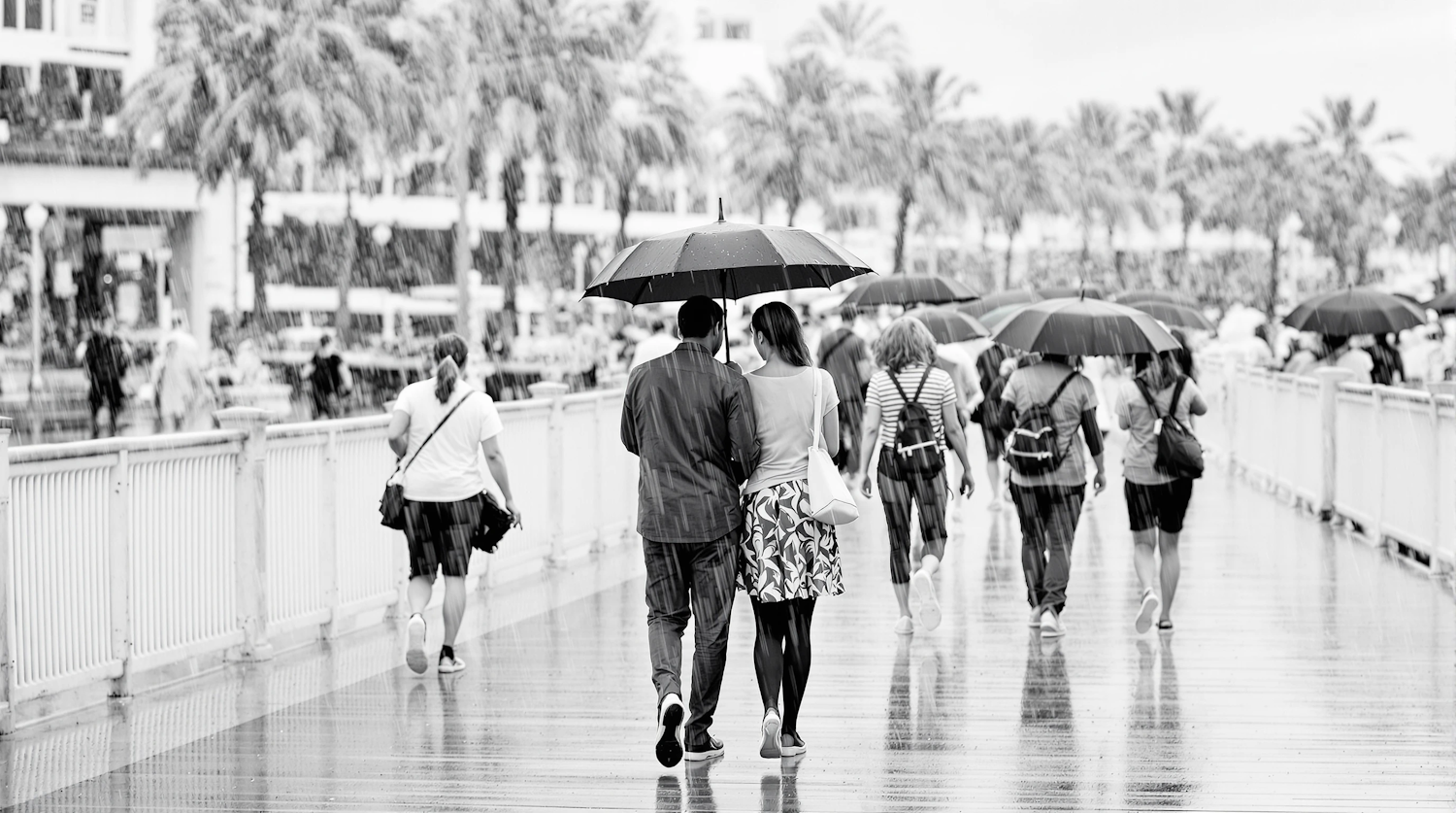 Rainy Boardwalk Scene