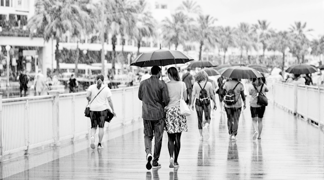 Rainy Boardwalk Scene