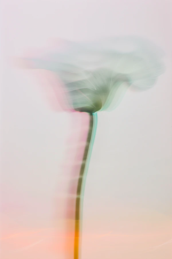Abstract Flower Motion
