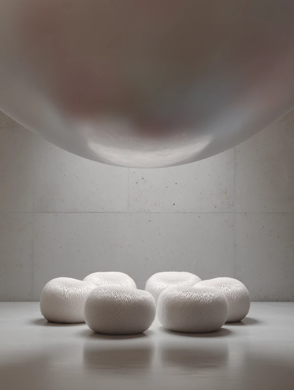 Minimalist Interior Design
