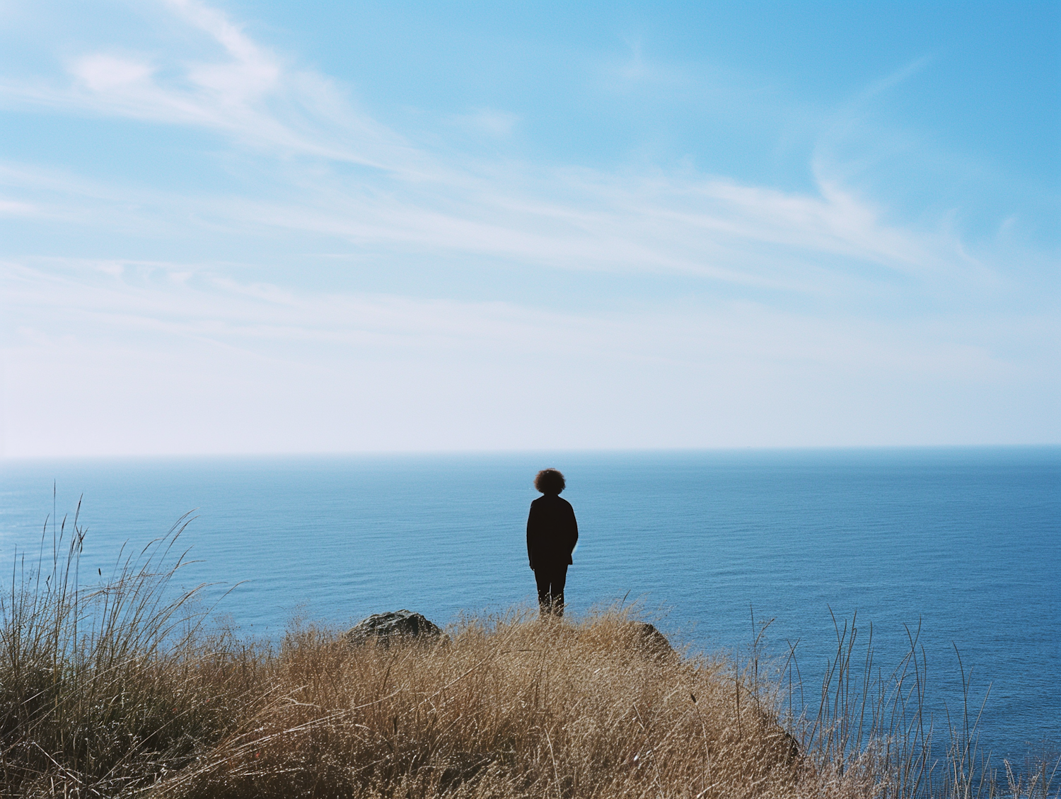 Serene Coastal Contemplation