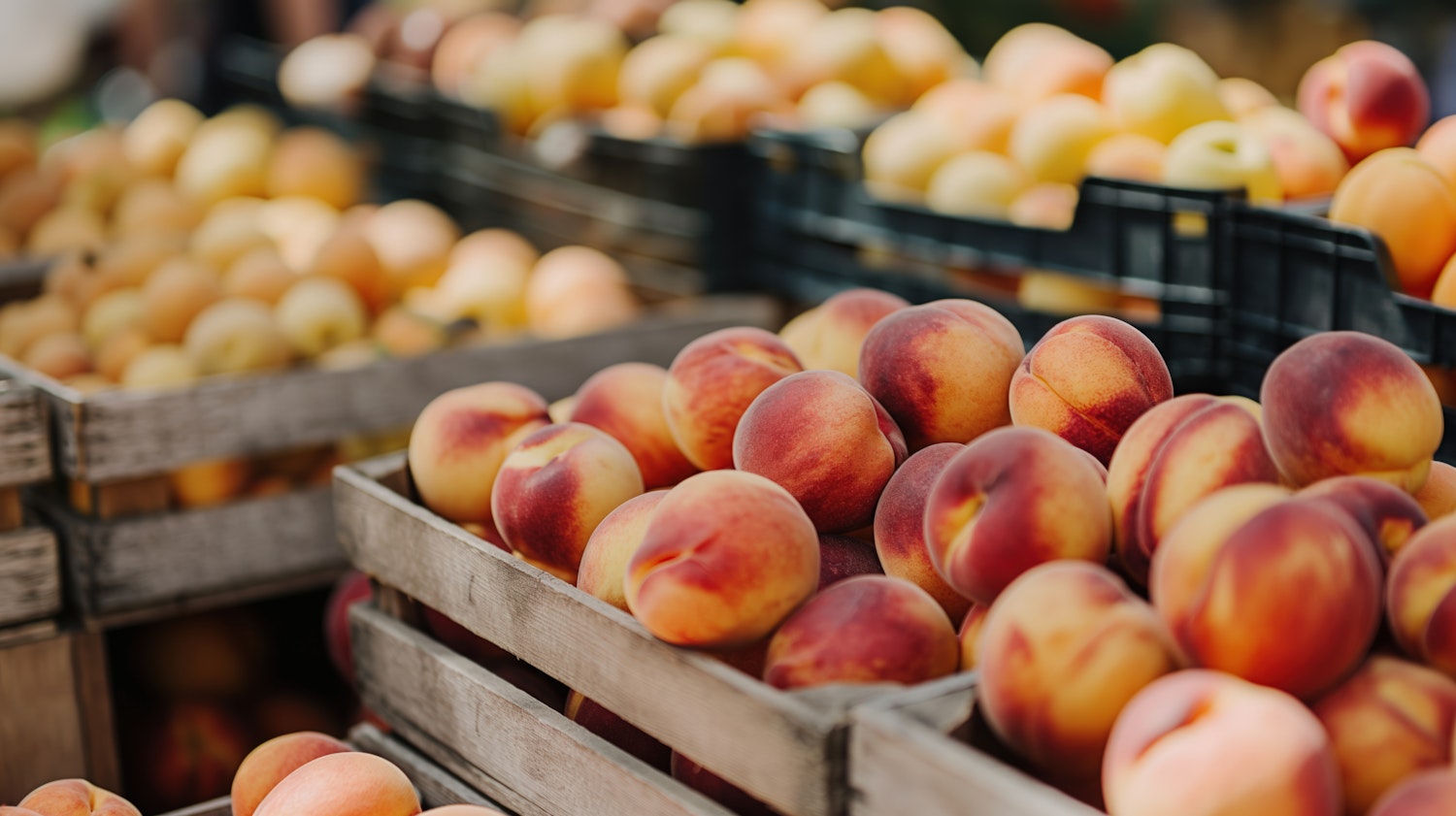 Fresh Market Peaches in Wooden Crates