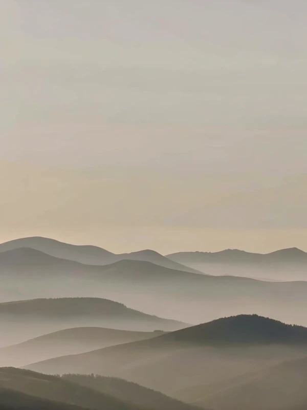 Misty Hills Landscape