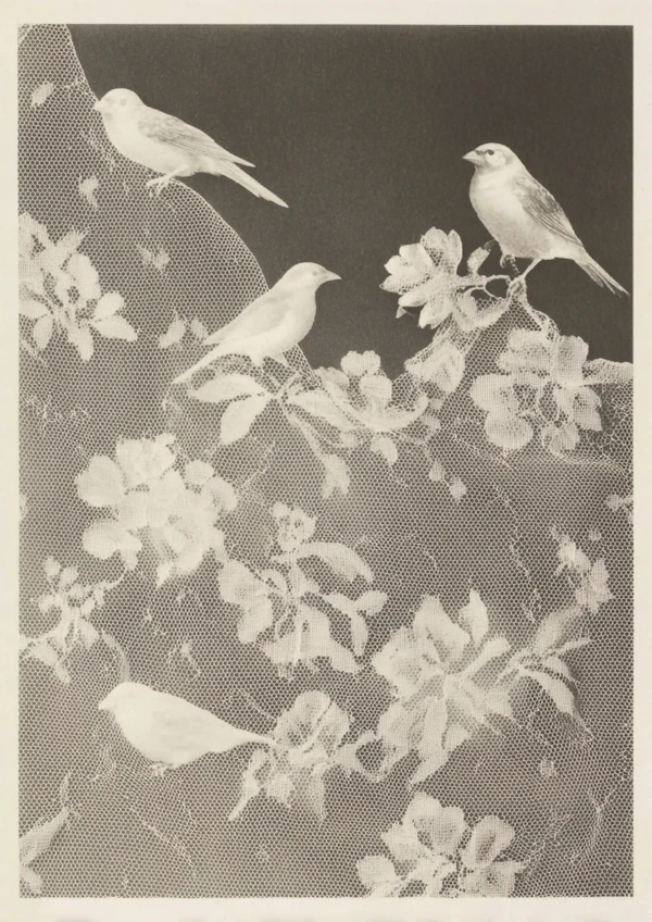 Elegant Bird Composition