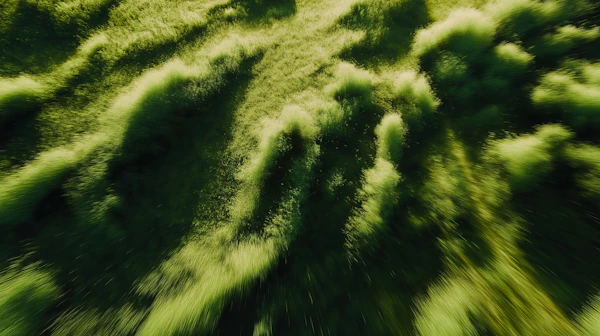 Golden Grasslands