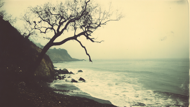 Serene Coastal Scene with Tree