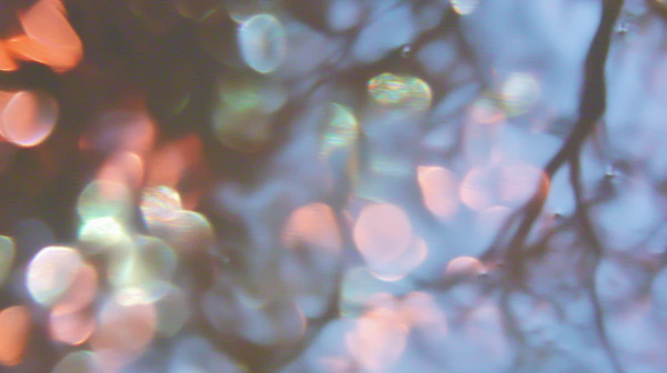 Dreamy Bokeh Lights