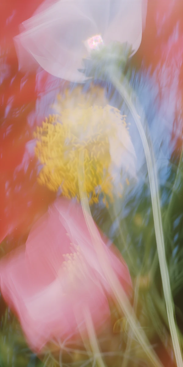 Dreamy Floral Abstract
