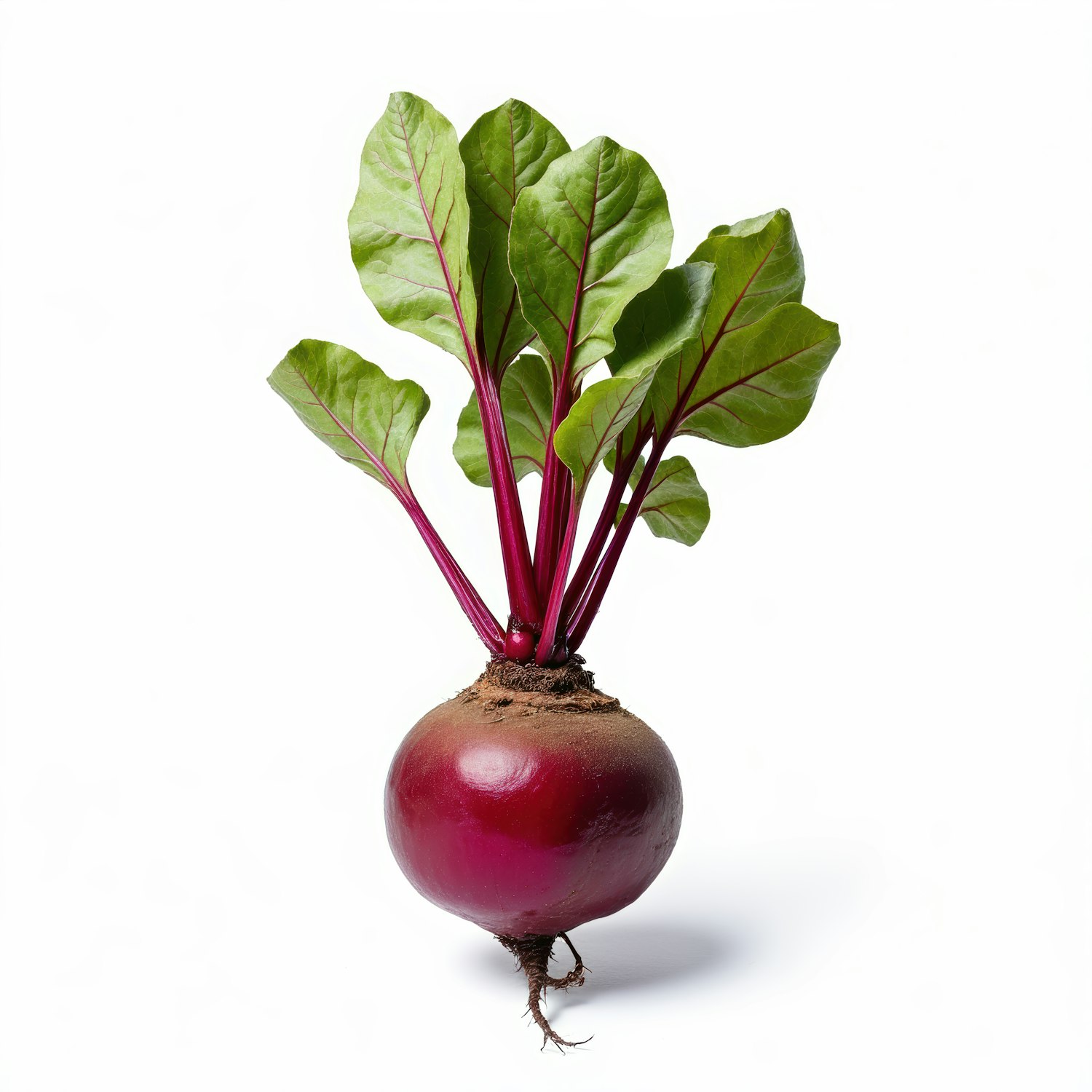 Fresh Beetroot with Leaves