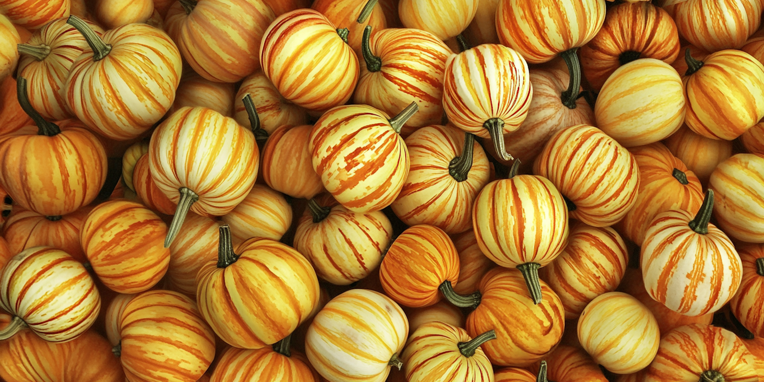 Vibrant Pumpkin Collection