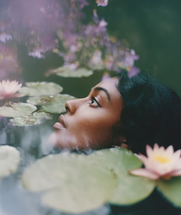 Serene Water Lily Scene