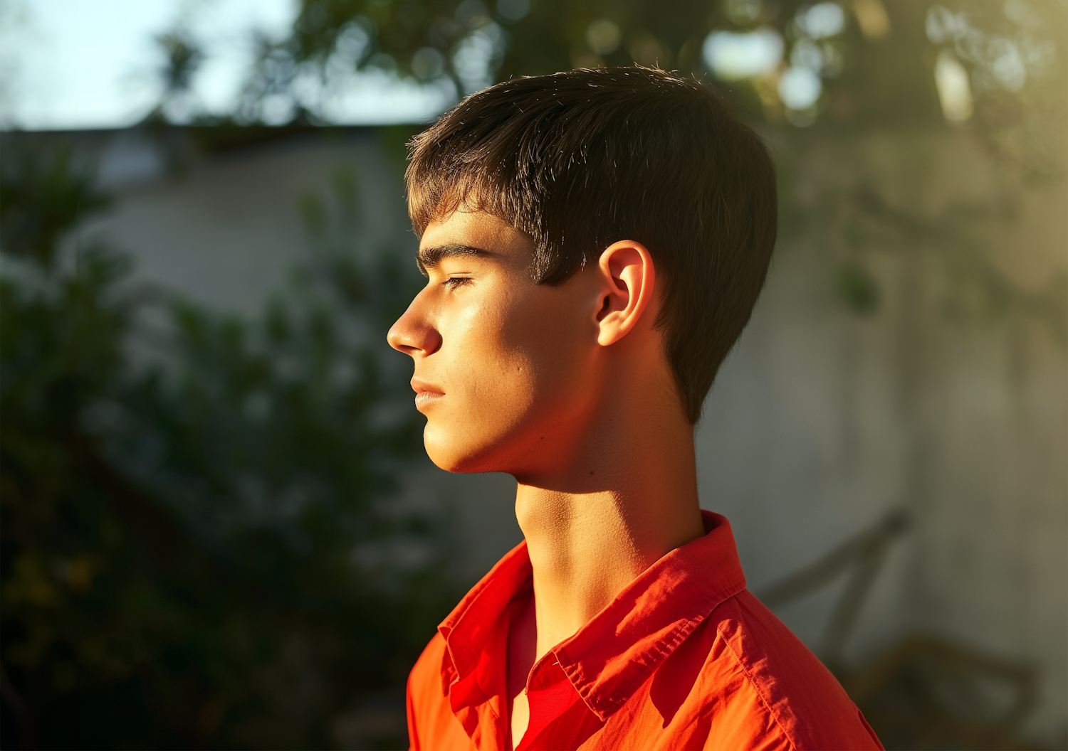 Serene Sunlit Profile