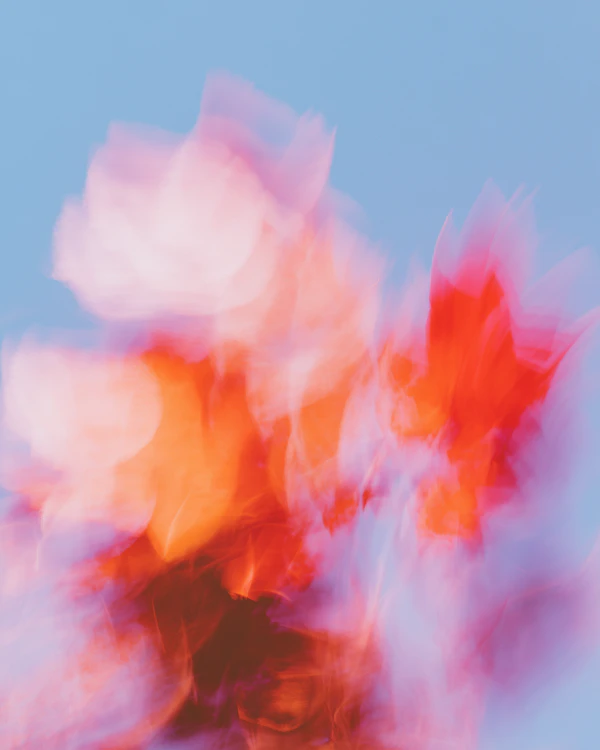 Vibrant Abstract Blend