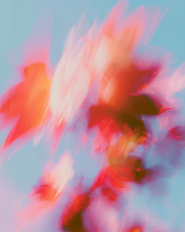 Abstract Color Fusion