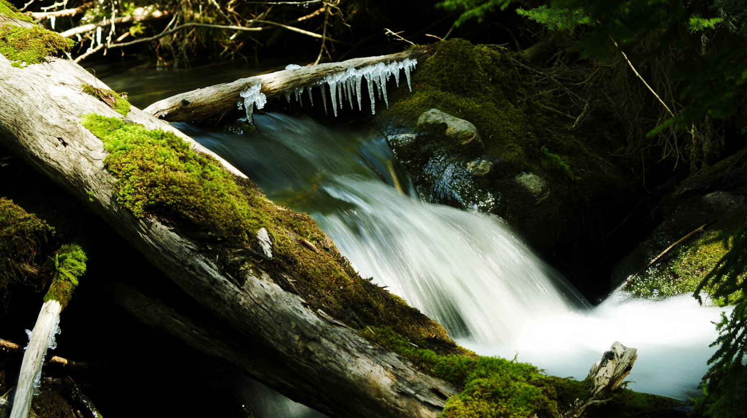 Serene Waterfall Scene