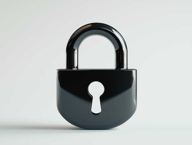 Sleek Black Padlock