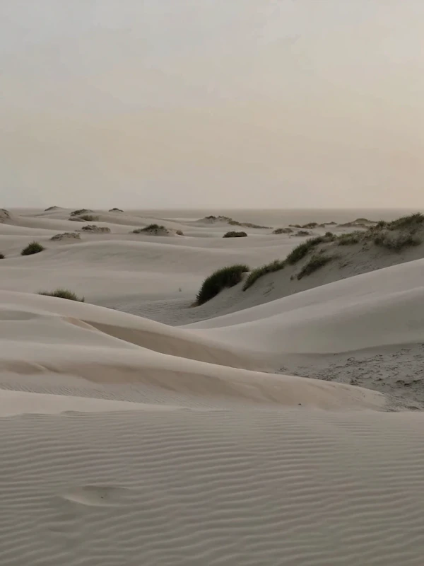 Serene Desert Landscape