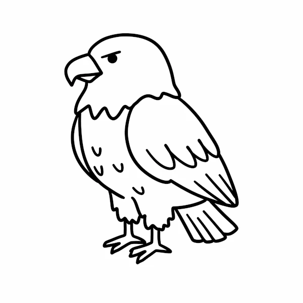 Cartoon Eagle Drawing