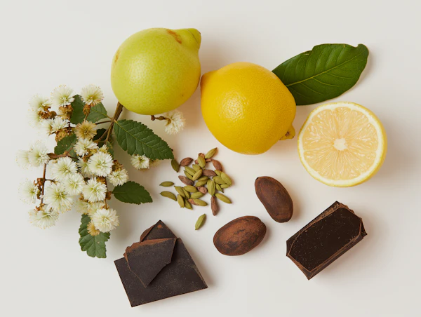 Natural Ingredients Display