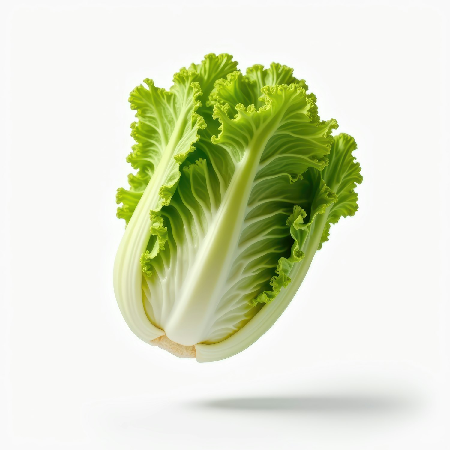 Vibrant Head of Lettuce