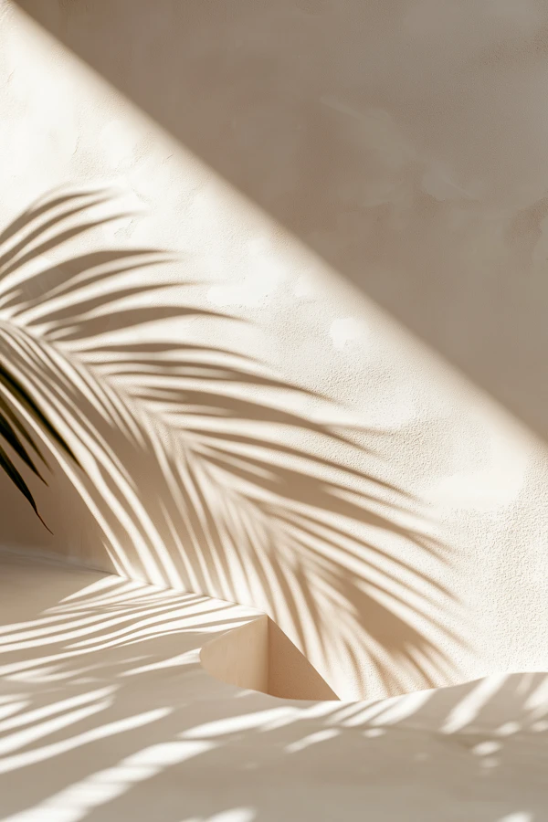 Palm Shadows on Wall