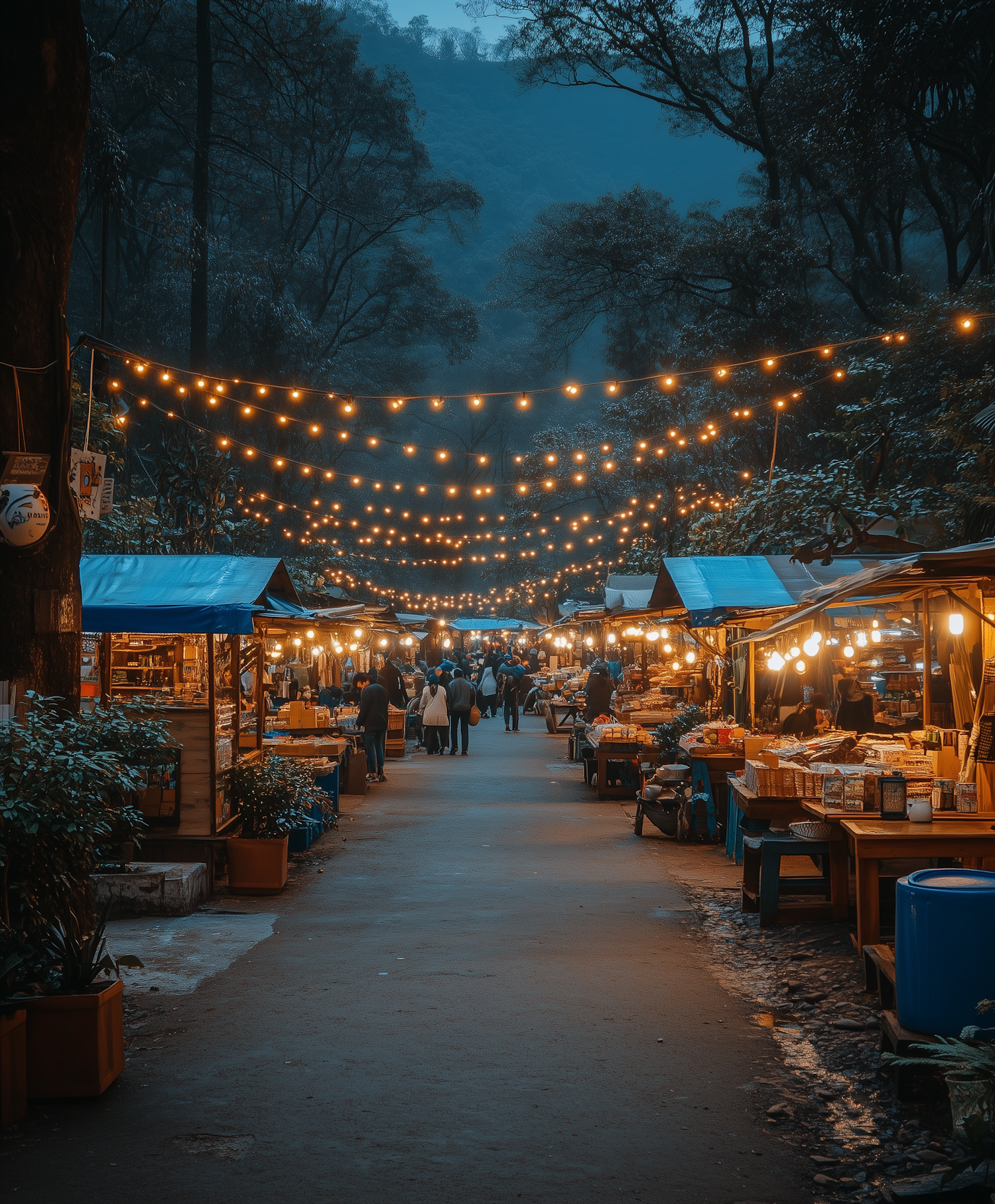 Evening Forest Market