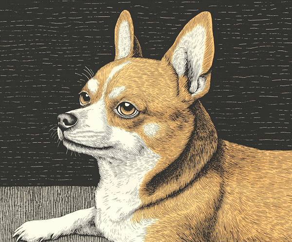 Chihuahua Illustration