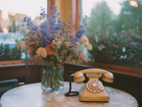 Vintage Telephone Scene