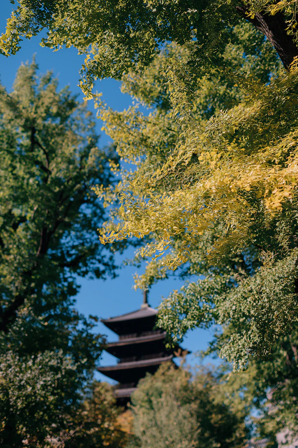 Serene Yasaka Pagoda, Kyoto