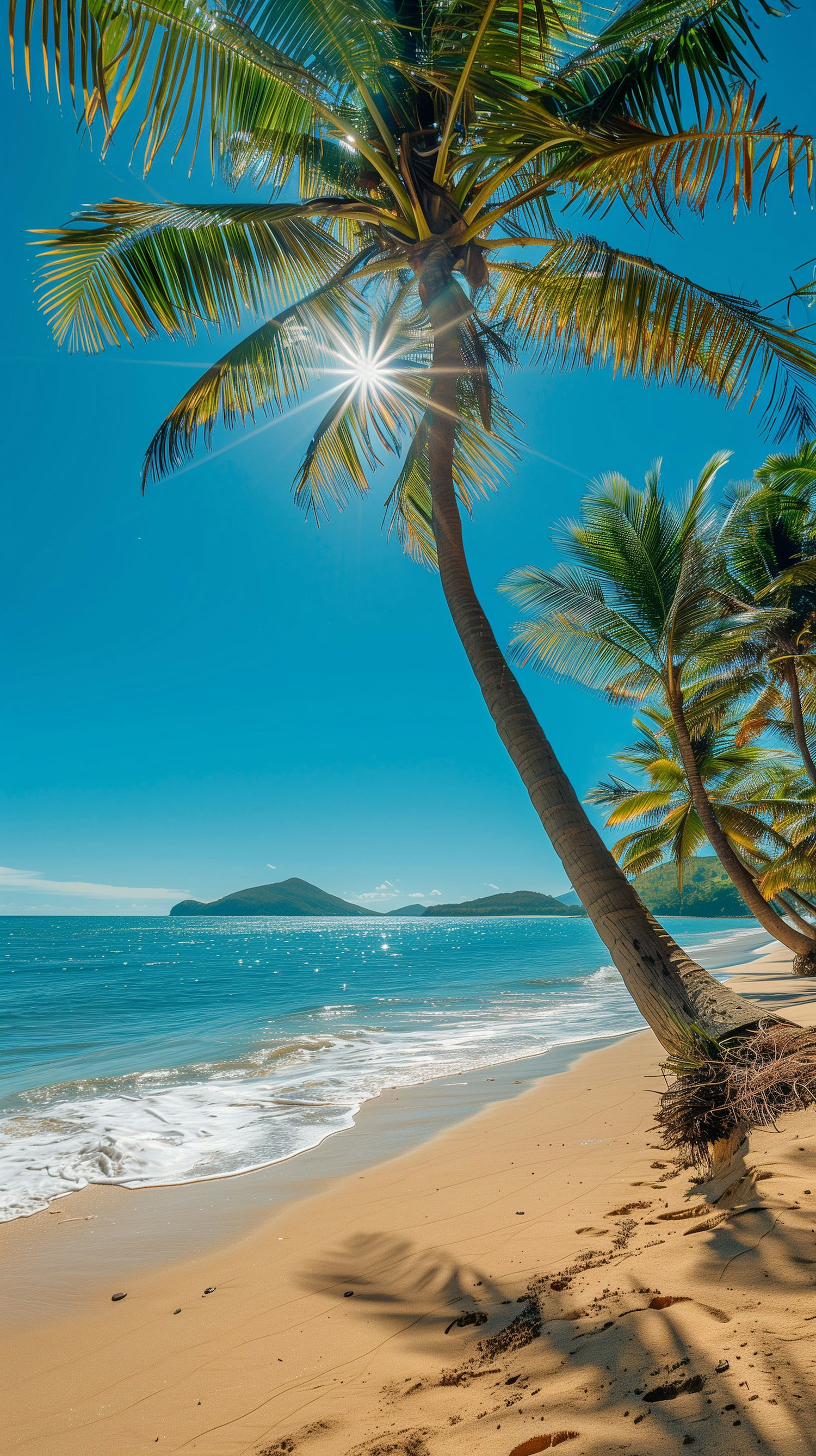 Pristine Tropical Beach Panorama