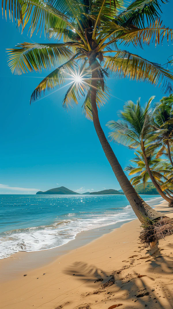 Pristine Tropical Beach Panorama