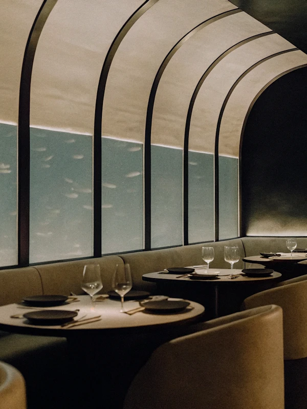 Modern Restaurant Interior