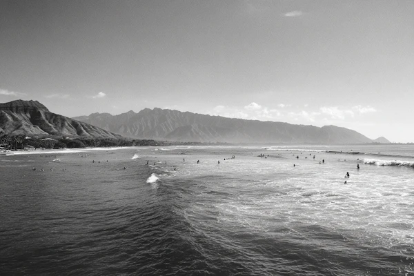 Monochrome Surf Scene