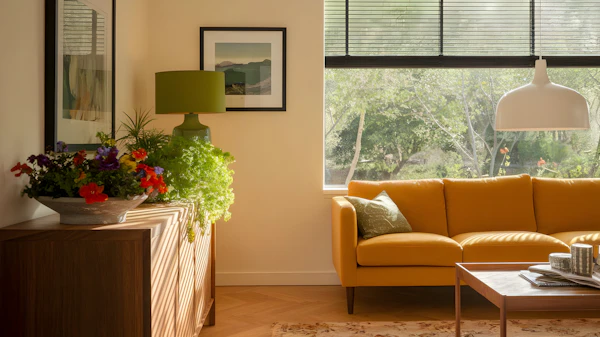 Cozy Vibrant Living Room