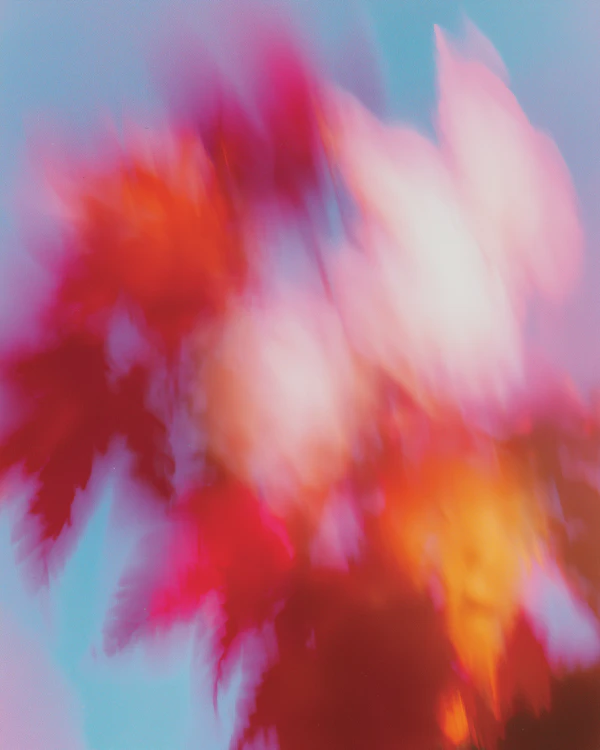 Dreamlike Color Blend