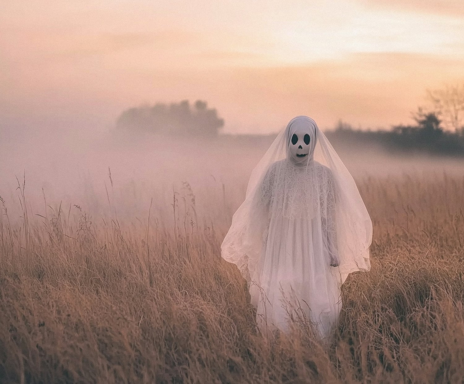 Ghost in the Field