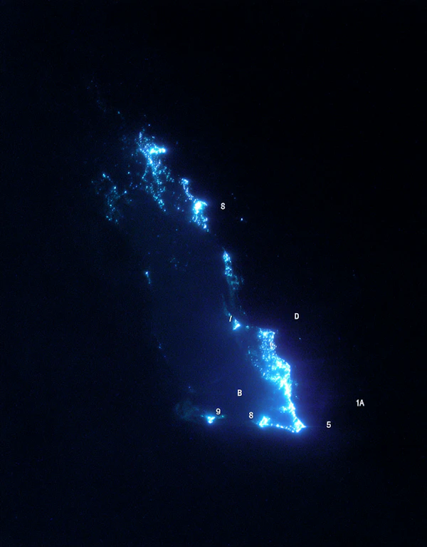 Bioluminescent Coastline