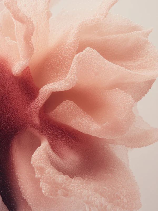 Ethereal Petal Close-Up